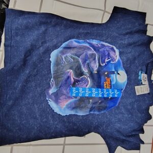 Boys Jurassic World Shirt NWT